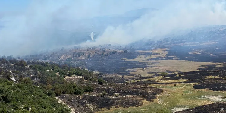 Soma’daki orman yangınında bir mahalle tahliye edildi