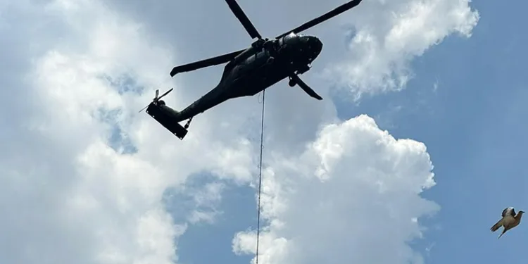 Aydın’daki yangınların bilançosu açıklandı
