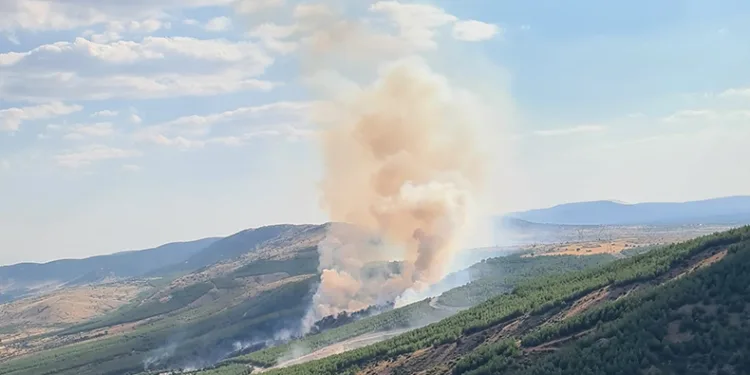 Çivril’deki yangında 8 hektar alan zarar gördü
