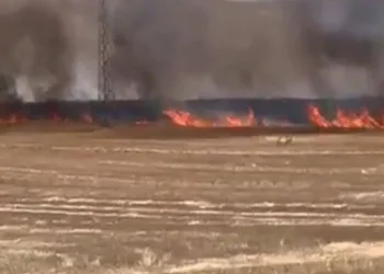 Nevşehir’de 100 dekar tarım arazisi kül oldu