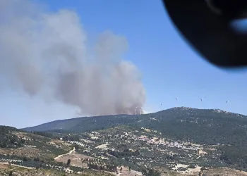 Soma’da orman yangını