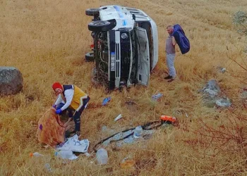 Minibüs buğday tarlasına devrildi