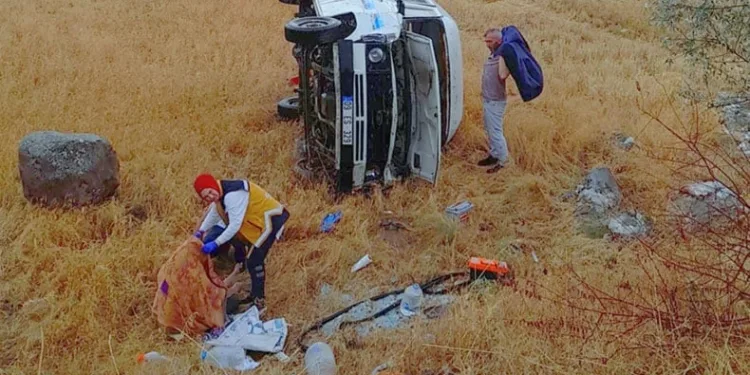 Minibüs buğday tarlasına devrildi