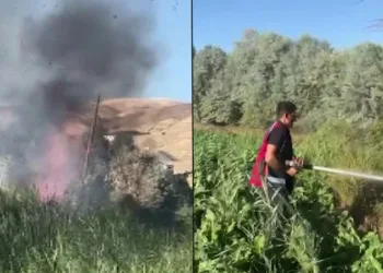 Sulama isteği kabusa döndü, fare yangına neden oldu