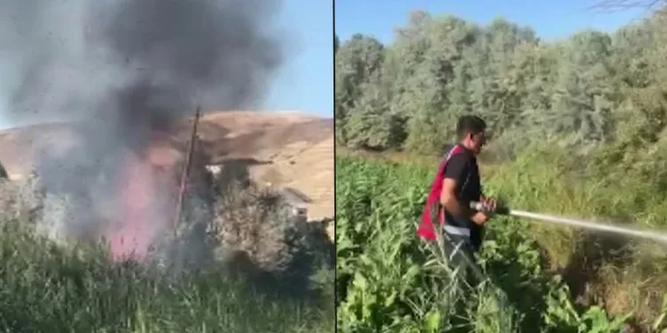 Sulama isteği kabusa döndü, fare yangına neden oldu