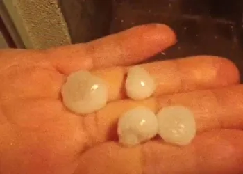 Kayseri’de dolu yağışı etkili oldu