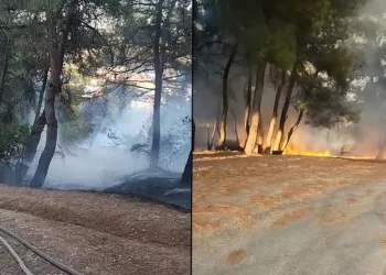 Piknik alanında çıkan yangın ormana sıçramadan söndürüldü