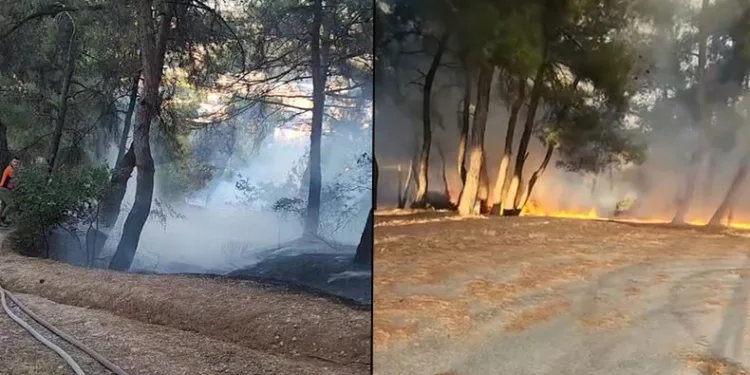 Piknik alanında çıkan yangın ormana sıçramadan söndürüldü