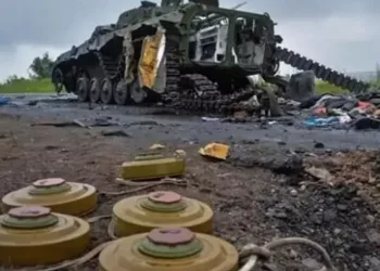 Nijerya’da mayın patlaması: 7 asker öldü