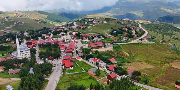 Çambaşı Yaylası yeniden doğdu