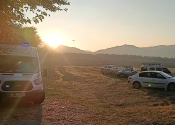 Adana Kozan’da orman yangını