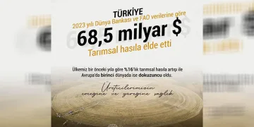 “Türkiye, Avrupa’da birinci oldu”