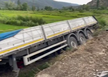Yoldan çıkan 2 tır peş peşe çeltik tarlasına devrildi