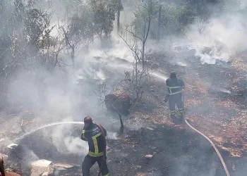 Bahçe yangını itfaiye ekipleri söndürdü