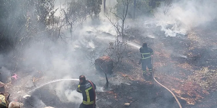 Bahçe yangını itfaiye ekipleri söndürdü