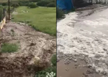 Ardahan’da sağanak sele neden oldu