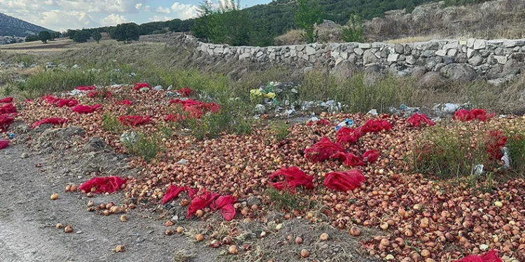 Tonlarca kuru soğanı döküp gittiler