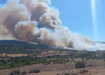 Çanakkale’de bir ayda 132 yangın