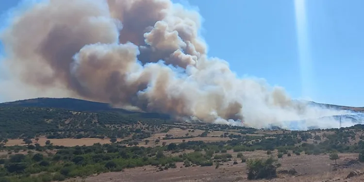 Çanakkale’de bir ayda 132 yangın