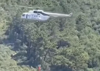 Beykoz’da çıkan orman yangını söndürüldü