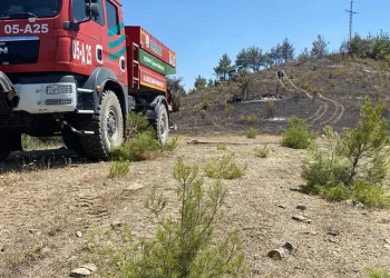 Samsun’da örtü yangını