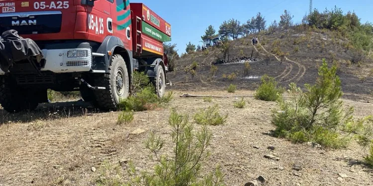 Samsun’da örtü yangını