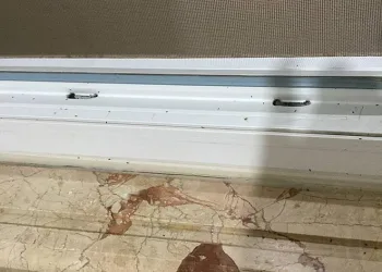 Zile’de pire istilası