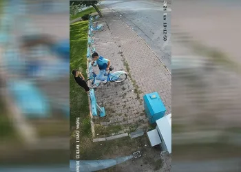 Kayısı yiyerek bisikletleri çaldılar