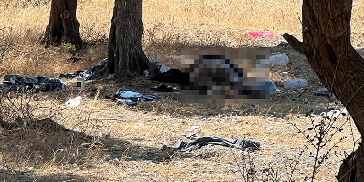 Manisa’da 15 yıldır zeytinlikte yaşayan şahıs ölü bulundu