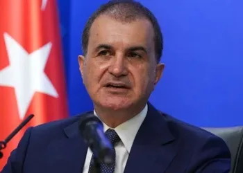 Sokak hayvanları düzenlemesi