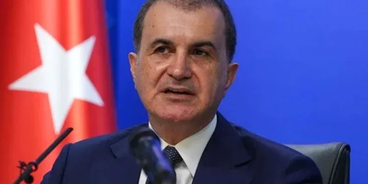 Sokak hayvanları düzenlemesi