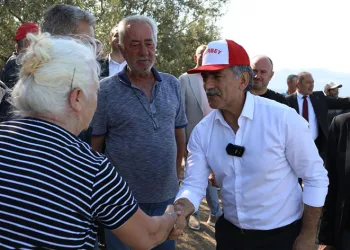 Ölümsüz ağaç suya kavuştu