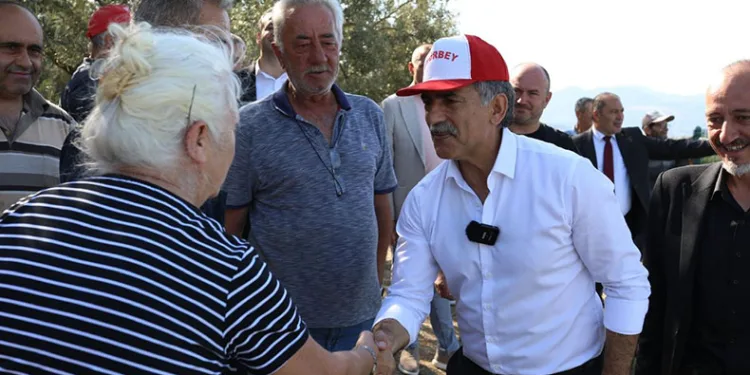 Ölümsüz ağaç suya kavuştu