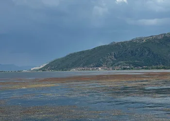 Bakanlık harekete geçti, Eğirdir Göl’ü temizlenecek