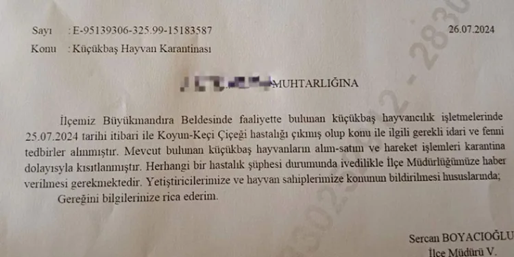 Babaeski’de küçükbaş hayvanlarda çiçek hastalığına rastlandı