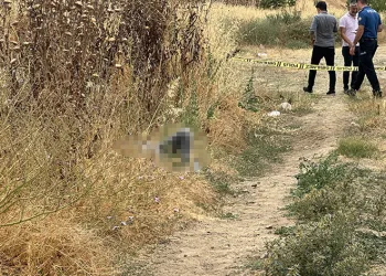 Otluk alanda cansız bedeni bulundu