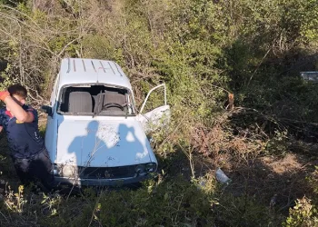 Yoldan çıkan araç ağaçlık alana uçtu