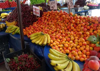Yaz geldi, pazarda fiyatlar düştü