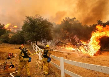 California tarihinin en büyük 6. orman yangını