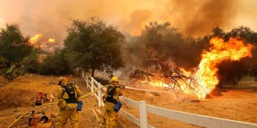 California tarihinin en büyük 6. orman yangını