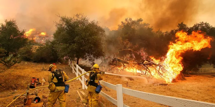 California tarihinin en büyük 6. orman yangını