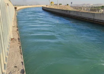 Sulama kanalına düşen kadın boğuldu