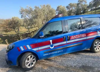 İncir hırsızı suçüstü yakalandı