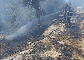 Yayladağı’nda orman yangını