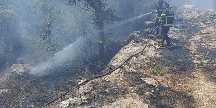 Yayladağı’nda orman yangını