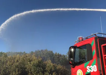 Bingöl’de çıkan orman yangını büyümeden söndürüldü