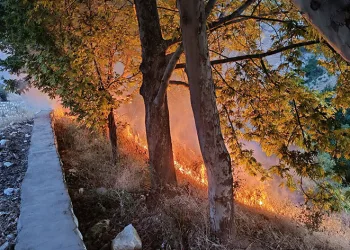 Tunceli’de otluk ve ağaçlık alanda yangın
