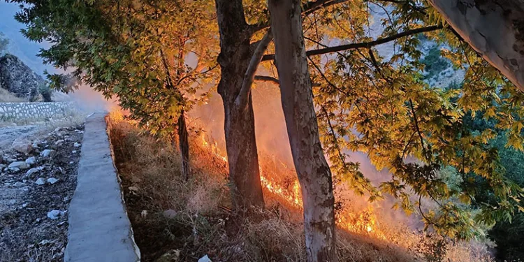 Tunceli’de otluk ve ağaçlık alanda yangın