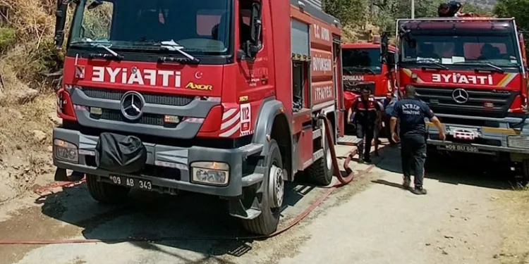 Odunluk yangını korkuttu