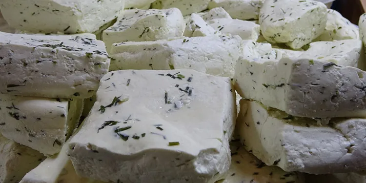 Van otlu peyniri yaz aylarında hediyelik olarak alınıyor